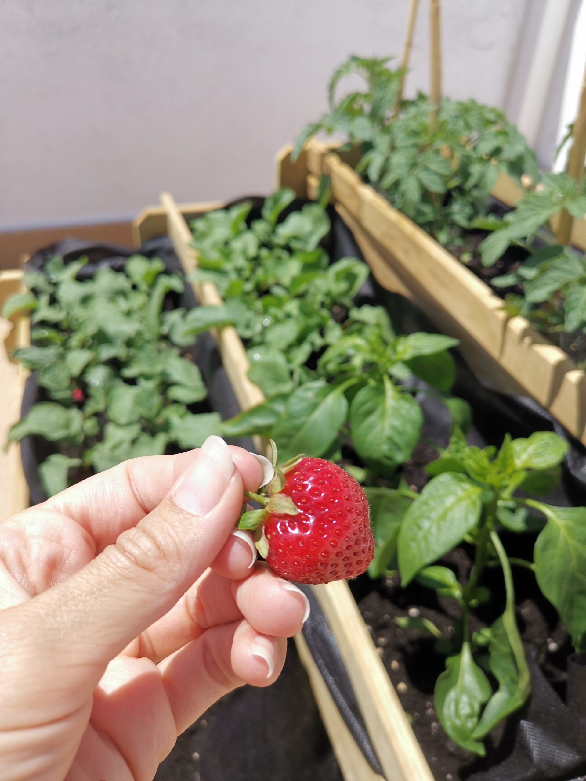 Foto con una fragola in mano